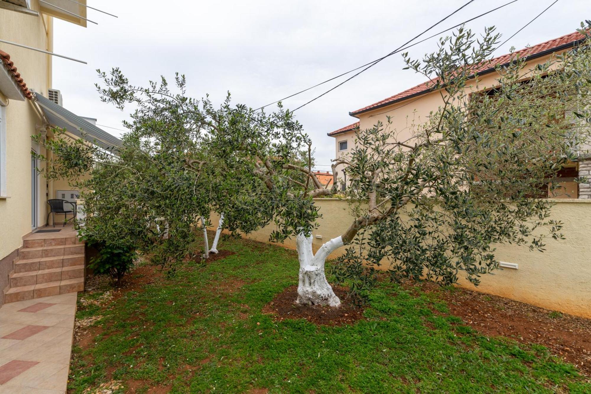 Villa K&F Borik Zadar Exterior photo